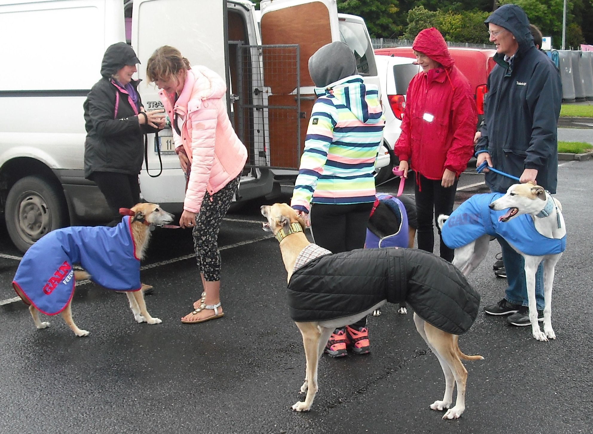 Owners and Supporters getting ready for the Clonmel Greyhound Stroll.jpg